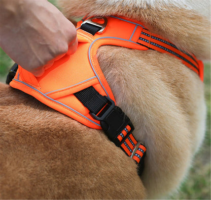 Kindred Paws™ Durable Waterproof Pet Harness – Reflective & Adjustable Kindred Paws